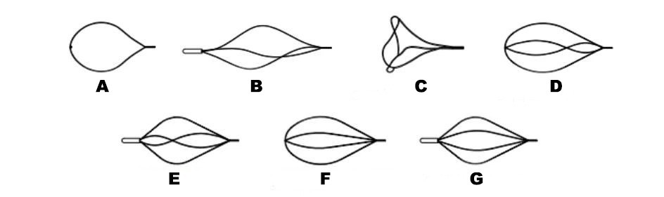 news-944-281 news-944-281