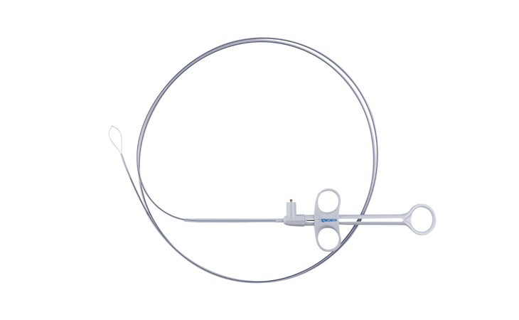 Cold Polyp Removal Snares