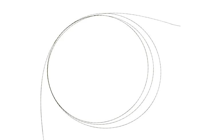 Disposable Guidewire Zebra Strings