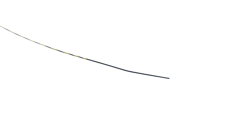 Guidewire With Zebra Strip ERCP best