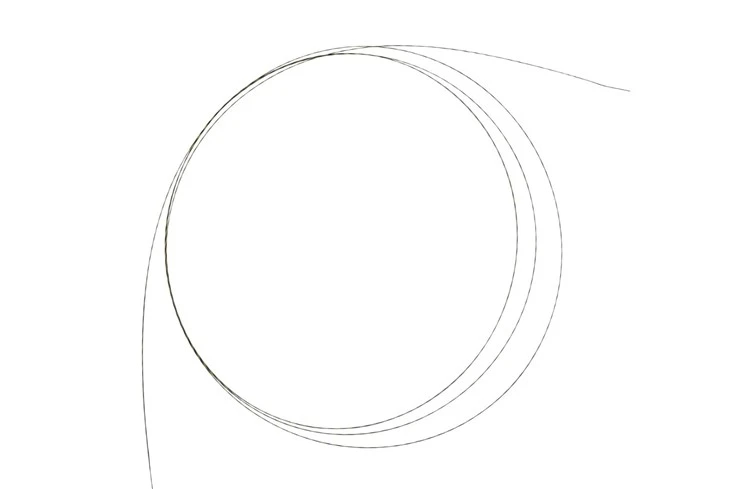 Guidewire With Zebra Strip ERCP factory