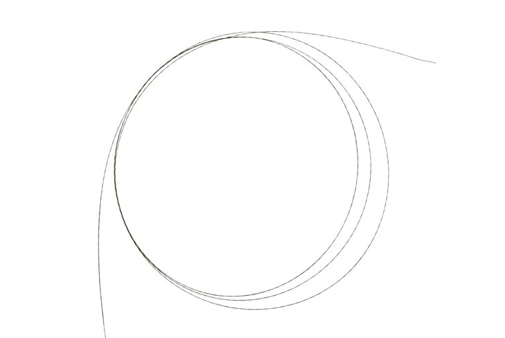 OEM Endoscope ERCP Guidewires