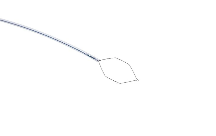 Single Use Polypectomy Snares Hot/Cold price