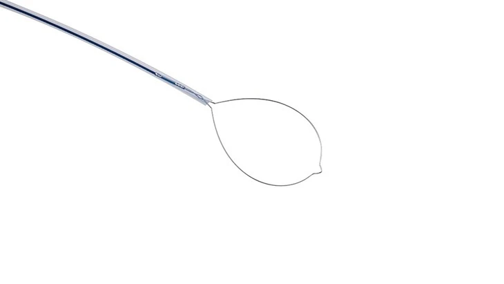Single Use Polypectomy Snares Hot/Cold best