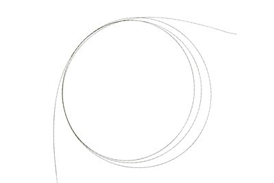 Disposable Guide Wire Zebra