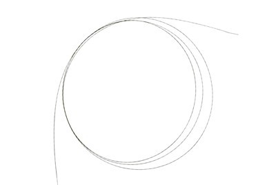 Disposable Guidewire Zebra